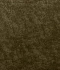 Kravet Triumphant Olive Fabric