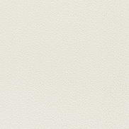Kravet Barton Chenille Salt Fabric
