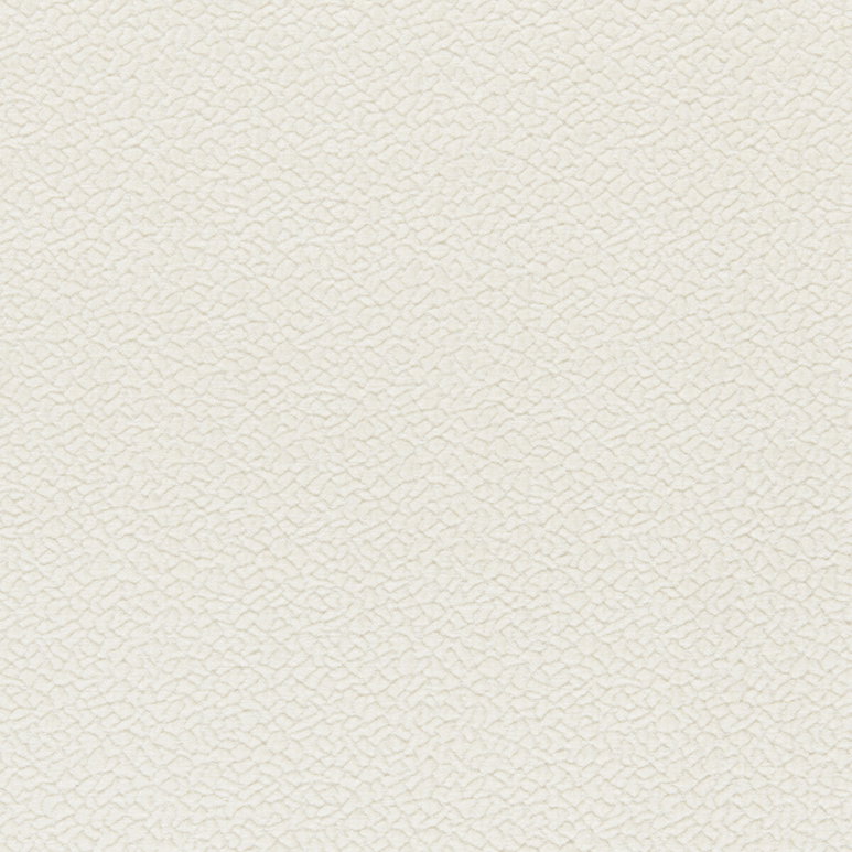 Kravet Barton Chenille Salt Fabric