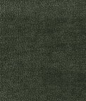 Kravet Barton Chenille Moss Fabric