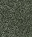 Kravet Barton Chenille Fern Fabric