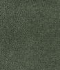 Kravet Barton Chenille Fern Fabric