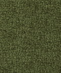 Kravet Barton Chenille Cactus Fabric
