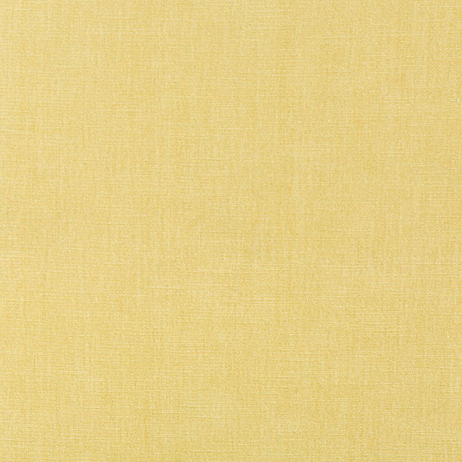 Kravet Smart 36076-1116 Fabric