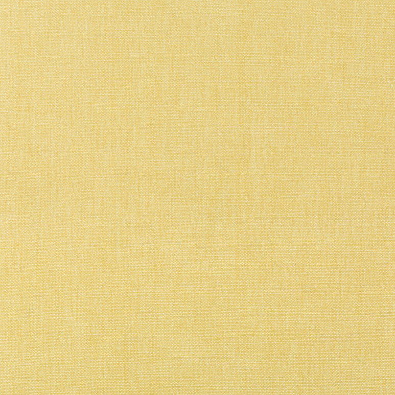 Kravet Smart 36076-1116 Fabric