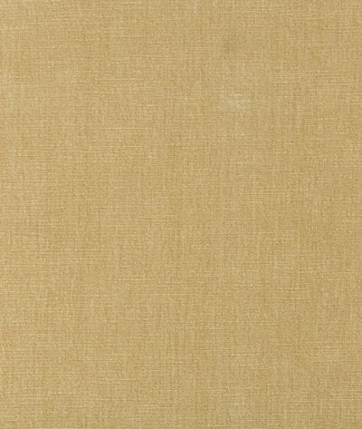 Kravet Smart 36076-161 Fabric