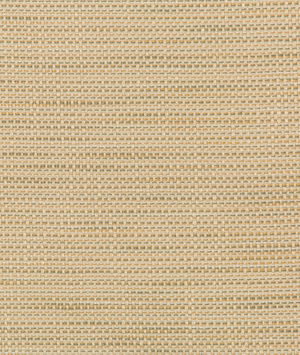 Kravet Design 36082-106 Fabric