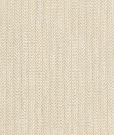 Kravet Design 36087-1614 Fabric