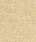 Kravet Design 36088-16 Fabric