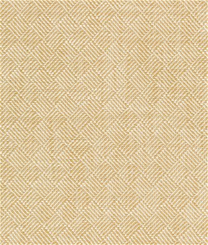 Kravet Design 36088-16 Fabric