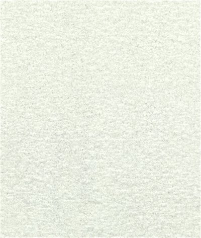 Kravet Flying High White Fabric