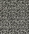 Kravet Flying High Ivory Noir Fabric