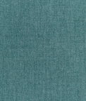 Kravet Smart 36112-313 Fabric