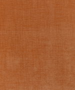 Kravet Accommodate Clementine