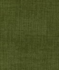 Kravet Accommodate Moss Fabric