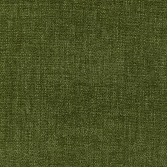 Kravet Accommodate Moss Fabric