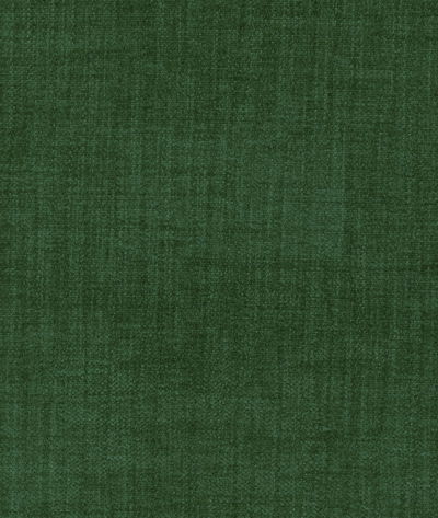 Kravet Accommodate Sage Fabric