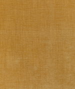 Kravet Accommodate Dijon