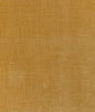 Kravet Accommodate Dijon Fabric