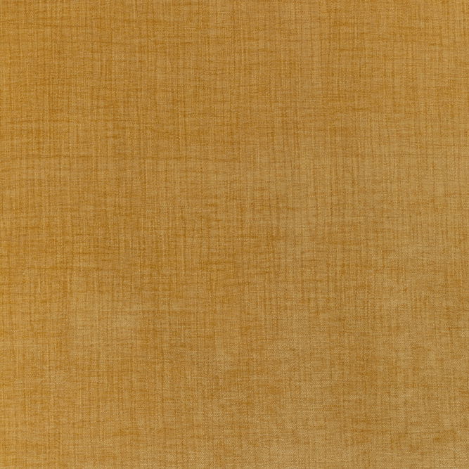 Kravet Accommodate Dijon Fabric