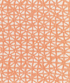 Kravet Kinzie Coral Fabric