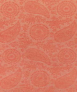 Kravet Wylder Coral