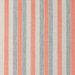 Kravet Walkway Coral Fabric