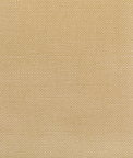 Kravet Carson Tussah Fabric