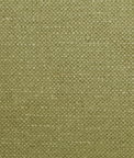 Kravet Carson Dill Fabric