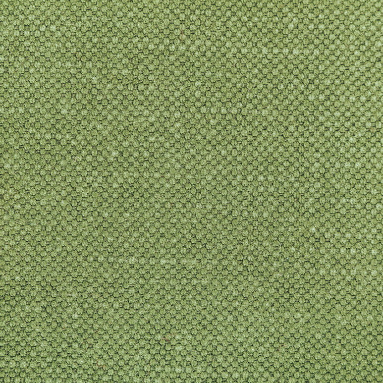 Kravet Carson Frog Fabric