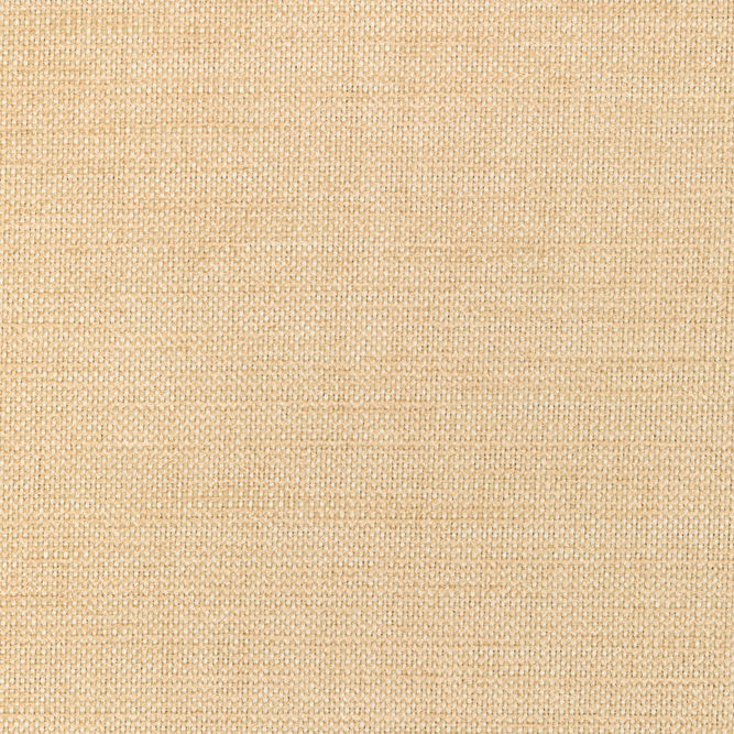 Kravet Smart 36302-116 Fabric