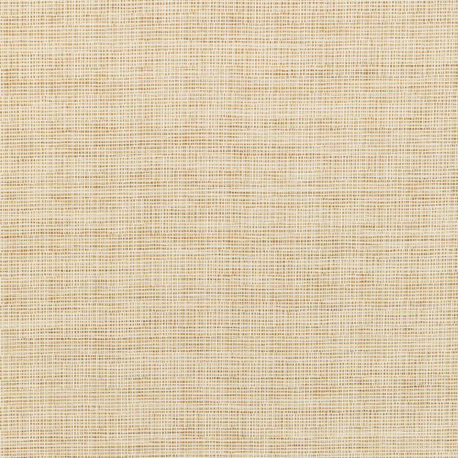 Kravet Smart 36303-16 Fabric