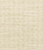 Kravet Smart 36303-1 Fabric