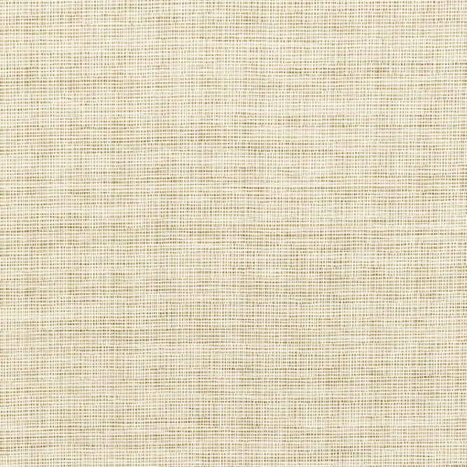 Kravet Smart 36303-1 Fabric