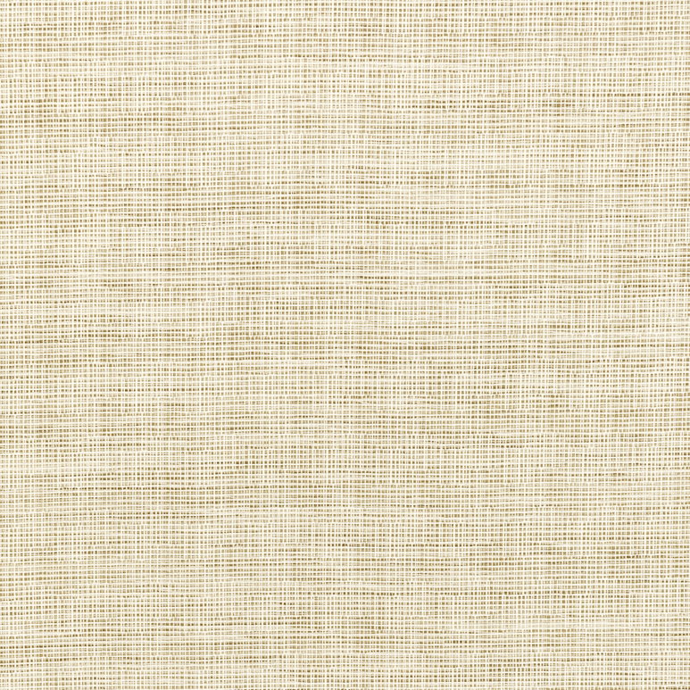 Kravet Smart 36303-1 Fabric