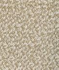Kravet Gilded Lacing Burnished Fabric