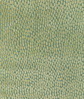 Kravet Foundrae Celery Fabric