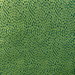 Kravet Foundrae Jungle Fabric