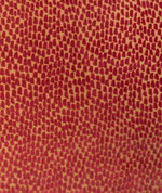 Kravet Foundrae Tango