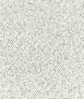 Kravet Cosmic Plush Ivory Noir Fabric