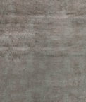 Kravet Gilded Dust Platinum Fabric