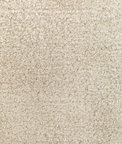 Kravet Basic Instinct Oyster Fabric