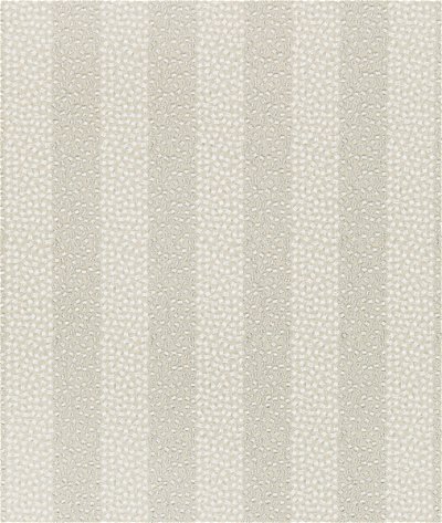 Kravet Proximity Platinum Fabric