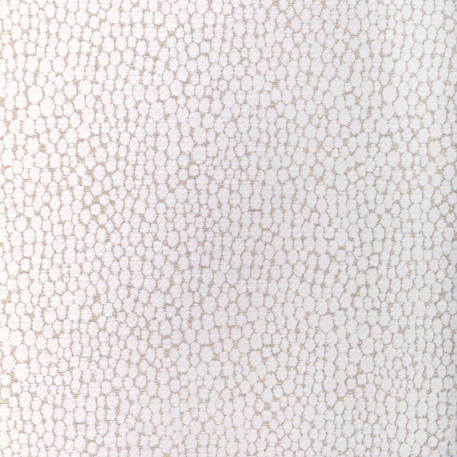 Kravet Starfall Ivory Silver Fabric