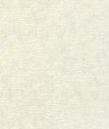 Kravet Illumine Blanc Fabric