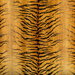Kravet Provocative Gold Fabric
