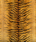 Kravet Provocative Gold Fabric