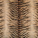 Kravet Provocative Camel Fabric