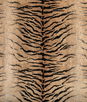 Kravet Provocative Camel Fabric