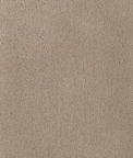 Kravet Fomo Fawn Fabric